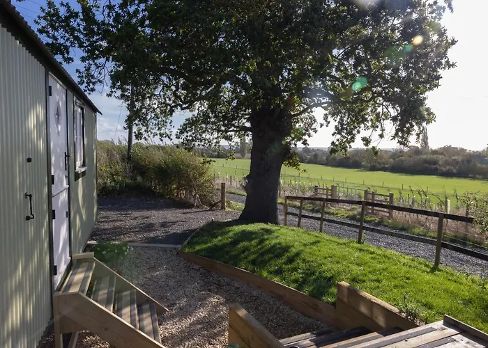 Abbey Farm Glamping & Cottage