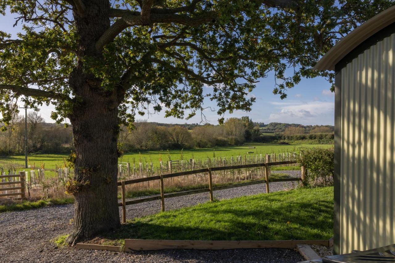 Abbey Farm Glamping &